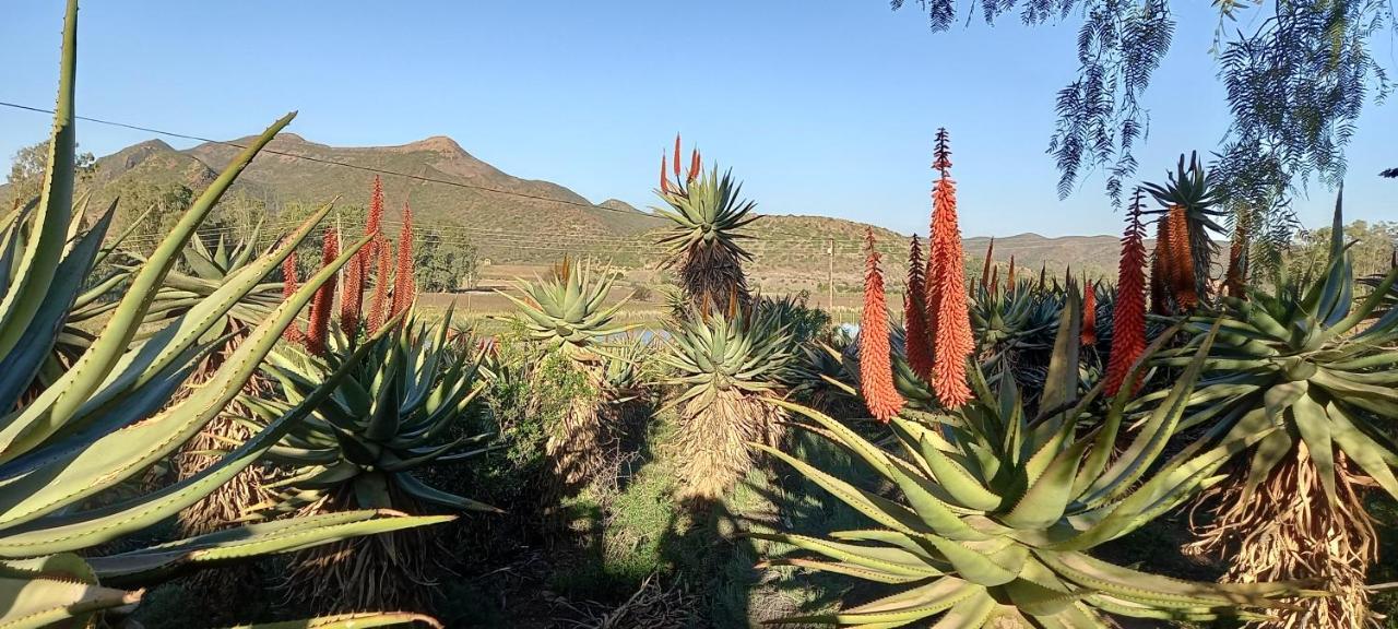 Koedoeskloof Guesthouse Ladismith Eksteriør bilde