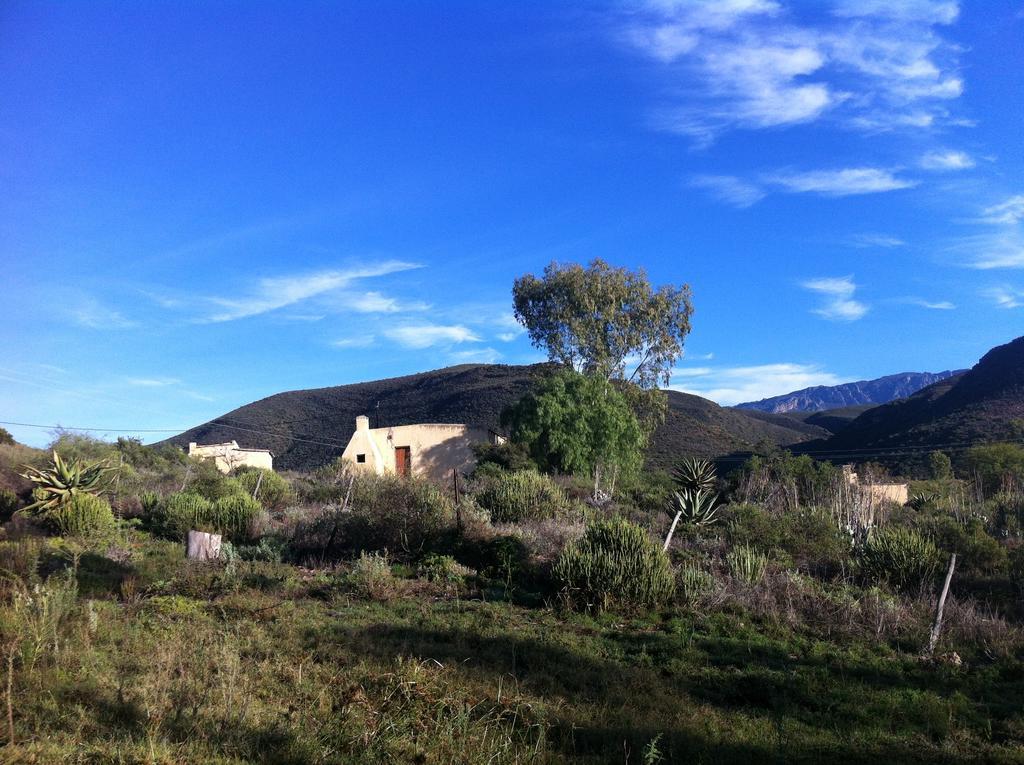 Koedoeskloof Guesthouse Ladismith Eksteriør bilde